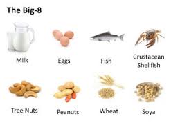 Transcript for top 8 food allergens. Allergenic Foods And Their Allergens With Links To Informall Farrp Nebraska