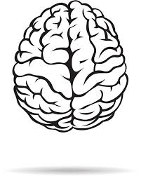 Does Brain Size Matter Brain Drawing Cartoon Brain Brain Painting