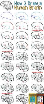 Learn How To Draw A Brain Simple Step By Step Drawing Tutorial For Beginners Brain Drawing Drawing Tutorials For Beginners Drawing Lessons