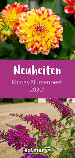 Tolle Neuheiten Fur Das Blumenbeet 2020 Plant Happy Blumenbeet Blumen Pflanzen Blumen
