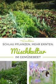 Mixed Culture In The Vegetable Patch My Tips From Country Life Mixed Culture In The Vegetable Patch Here Yo In 2020 Garden Types Planting Flowers Balcony Plants