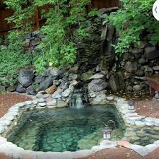 Pin By Shelly Damselpro3624 On Home Patio Yard Pool Landscaping Natural Pool Outdoor Pool