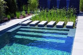 Naturpool Oder Schwimmteich Mit Biologischer Natuerlicher Wasserreinigung 181 Naturschwimmbecken Schwimmteich Pool Brunnen