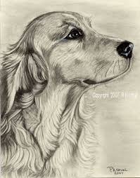 Pencil Dog Art Golden Retriever Print 2 By Pk Ufnal Dog Sketch Dog Art Cute Dog Drawing