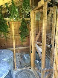 Hanging Herbs In Chicken Coop Chicken Coop Urban Chicken Farming Urban Chickens