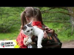 Katze In Not Folge 87 Tiere Bis Unters Dach Swr Kindernetz Youtube In 2020 Tiere Bis Unters Dach Tiere Katzen