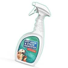 Pet Stain Remover And Odor Eliminator Spray Enzymatic Cleaner For Dog And Cat Urine Best Enzyme N Cat Urine Smells Pet Urine Remover Cat Urine Odor Remover