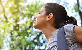 Le manque de lumière se corrige aussi en ouvrant le diaphragme, si vous n'avez pas besoin d'une voilà, les différentes solutions qui s'offrent à vous si il vous arrivait à manquer de lumière, sait on. Comment Contourner Le Manque De Lumiere Naturelle Blog