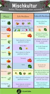 Garten Ideen Garden Garten Mischkultur Welche Pflanzen Passen Zusammennicht J Garden Garten Ideen In 2020 Sustainable Garden Backyard Garden Design Garden Care