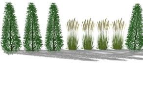 Sichtschutzkombinationen Teil 2 Saulenbaume Und Graserhecken Straucher Garten Bepflanzung Vorgarten Modern