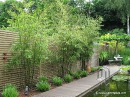 Sichtschutz Garten Pflanzen Google Suche Sichtschutz Garten Garten Landschaftsbau Garten