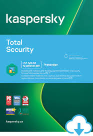 Kaspersky Total Security 5 Users Digital Download Walmart Canada