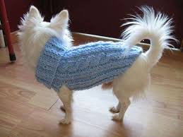 Il vostro cagnolino indosserà un capo confortevole e alla moda, oppure potrebbe essere un regalo per il cane di vostri amici o parenti, sicuramente apprezzatissimo per la sua unicità. Cappottino Per Cani Fai Da Te Ai Ferri E All Uncinetto Gli Schemi Foto Pourfemme