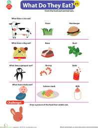 What Do Animals Eat 1 Worksheet Education Com Science Worksheets Worksheets For Kids Worksheets