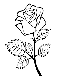 Pick up your colored pencils and start coloring right now! Coloring Pages Rose Flower Coloring Pages