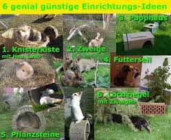 Aussenhaltung Kaninchenhaltung Kaninchen Kaninchenkafig