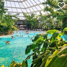 Entdecke Mehr Sommer Vielen Dank An Funkytownherne Fur Das Grossartige Bild Aus Dem Park Het Heijderbos In 2020 Instagram Dolores Park Park