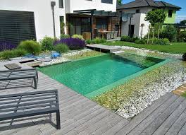 Naturpool Mit Steg Natur Pool Schwimmteich Naturschwimmbader