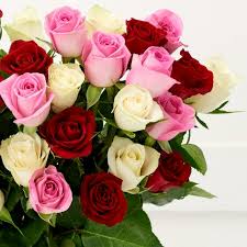 The group made their debut on august 8, 2016 with their first digital single album square one. Sainsbury S Rainbow Roses Bouquet Colours May Vary Sainsbury S