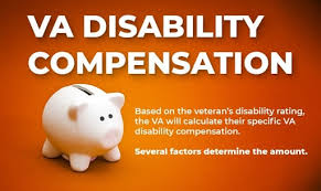 How To Get 100 Va Disability Rating Hill Ponton P A