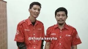 Indihome paket phoenix (1 hour perfect loop) подробнее. Indihome Paket Phoenix Streamix Know Your Meme