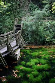 Silent Pool Shere Surrey England Uk Places To Go England Places To Visit