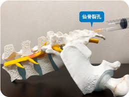 幕張整形外科 Makuhari Orthopaedics