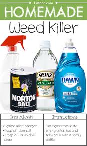 25 Natural Weed Killer Ideas