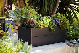 Garten Terrasse Hochstapler Blumenkasten Salladskal Bild 9 Blumenkasten Garten Pflanzen