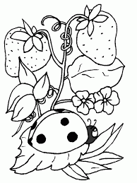 Everyone who loves spring knows there is nothing better than the fresh fragrance of flowers in this season. Coloring Pages For Spring Coloring Home