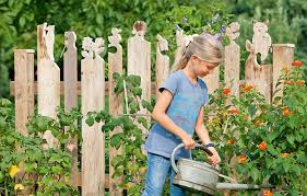 Lustige Zaunkopfe Zaun Gartenzaun Garten Zaun Ideen