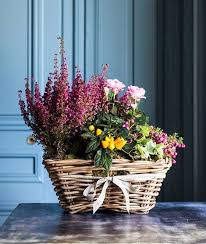 Pin By Bozenka On Balcones Y Ventanas Christmas Garden Decorations Container Garden Design Flower Arrangement Designs
