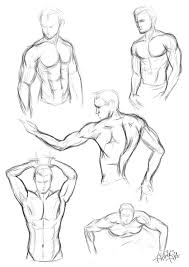 Torso Muscules Man Posing Male Body Drawing Body Drawing Human Body Art