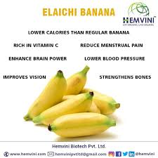 Elaichibanana Hashtag On Twitter Green cardamom is used in indian and several other elaichi has got so many benefits, i never knew before.