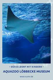 Aquazoo Lobbecke Museum Dusseldorf Ausflug Zoo Ausflugsziele