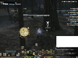 Rｧ 古ぼけた地図g10は園芸が楽 Ff14 やっぱルガディンなんだよな