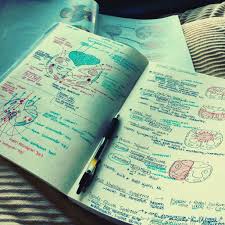 Neurology Notes Neurology Neuroscience Medicine