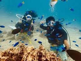 Padi オープンウォーター スクーバダイバー ダイビングライセンス取得コース 1 1 5日間 By パンパシフィックダイバーズ グアムの観光 オプショナルツアー専門 Veltra ベルトラ