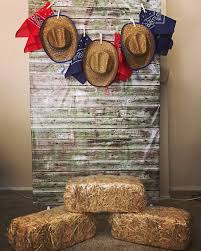 Diy Backdrop Out Of A Clothes Rack And Clamps Cowboy Theme Party Cowboy Party Decorations Western Theme Party
