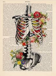Anatomy Print Medical Poster Vintage Illustration Skeleton Wall Decor Decorative Art Book Page Vintage Art Prints Book Art Retro Poster
