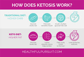 The keto diet and fatty liver disease. Customizing Keto Weight Loss For Women Healthful Pursuit