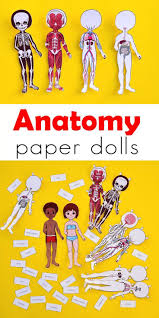 Anatomy Printable Paper Doll For Kids Paper Dolls Human Body Systems Human Body Systems Foldable