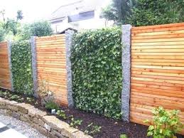 Botanical Garden Hawaii Kai Gardening Cloche Garden Wedding Dresses For Bridesmaid Randy Lemmon Gardenline Aldi Special Schutting Tuin Tuin Ideeen Tuin