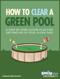 Resource Library For Pool And Hot Tub Owners Green Pool Water Pool Cleaning Tips Pool Maintenance