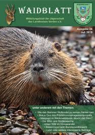 Waidblatt Lesen Wildrezepte Wild Rezepte Trockener Rotwein