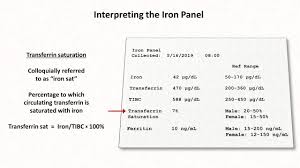 Anemia Lesson 2 Interpreting The Iron Panel Youtube