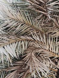 Pin By Eisan On Los Angeles County Travels Abstract Floral Art Minimal Painting Picture Collage Wall