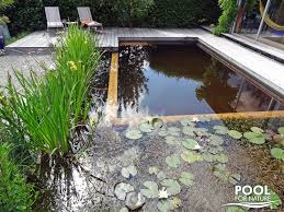 Schwimmteiche Naturpools Wasser Garten Lauterwasser Gartenbau Landschaftsbau Benningen Ludwigsburg Schwimmteich Indoor Wassergarten Natur Pool