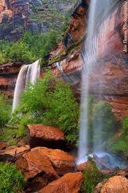 Lower Emerald Pool Trail 1 2 Miles You Can See My Favorite Thing From The Jungle Zion National Park Photography National Parks National Parks Photography