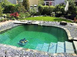 Nano Wohlfuhlteich Mit Roboter Schwimmbader Hinterhof Schwimmteich Pool Wasserfall